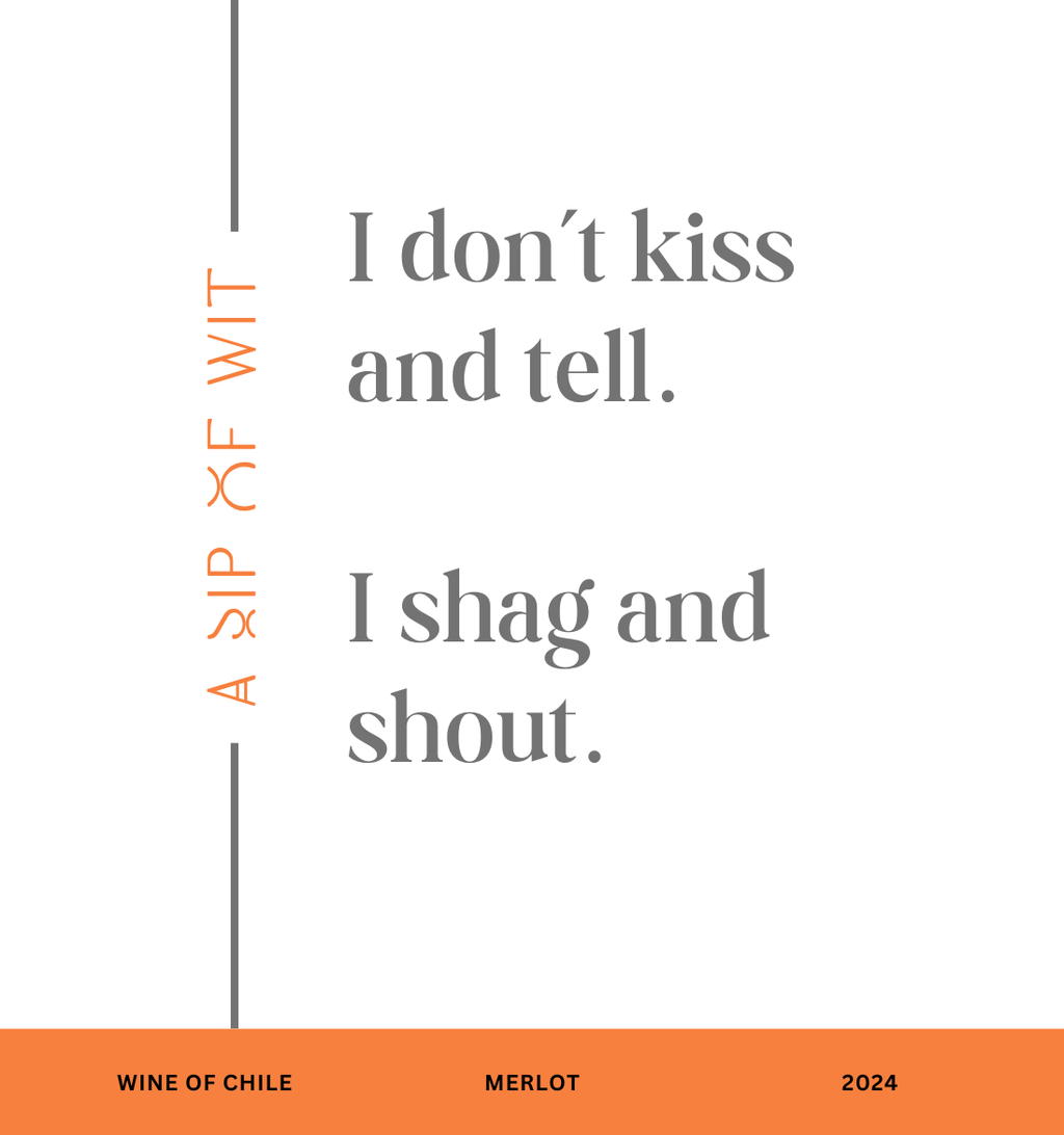 Witty & Sassy Quotes – Humorous Wine Gifts for Any Occasion