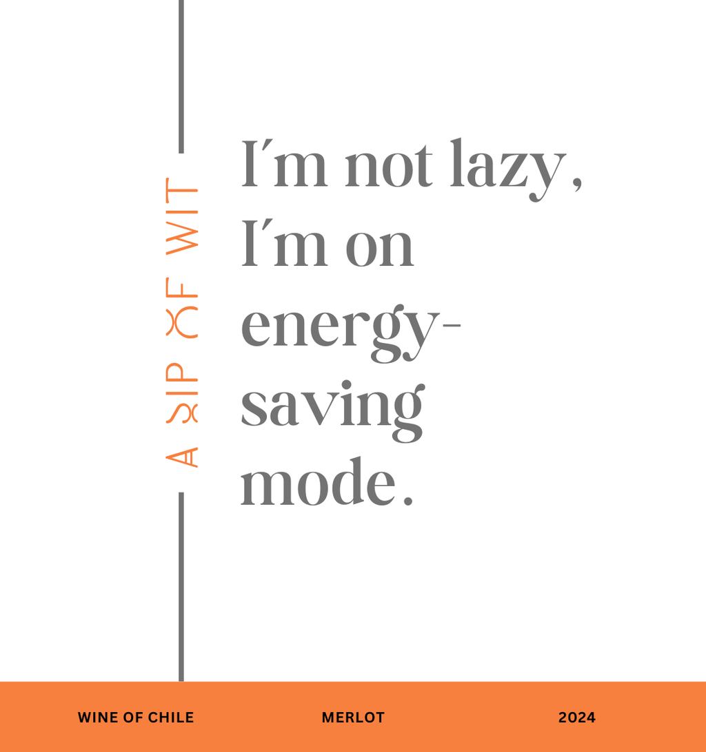 Witty & Sassy Quotes – Humorous Wine Gifts for Any Occasion